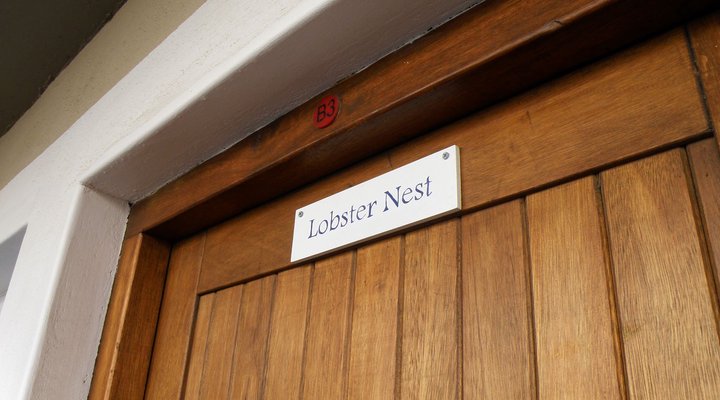 Lobster Nest Guest Apartment