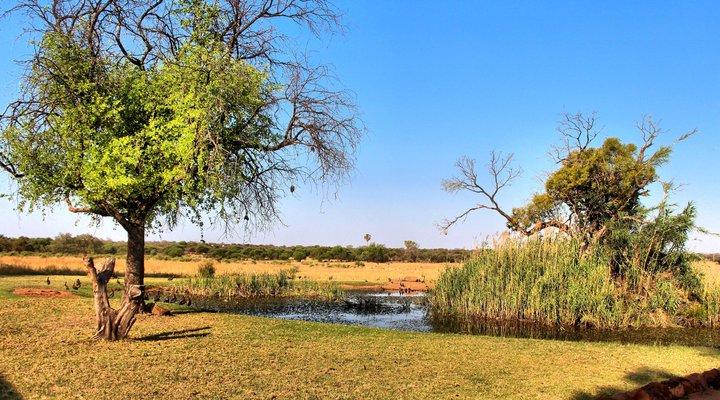 De Kleine Serengeti Game Lodge