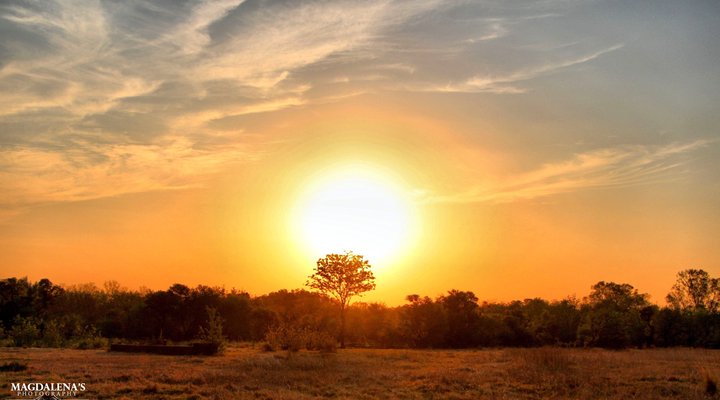 De Kleine Serengeti Game Lodge