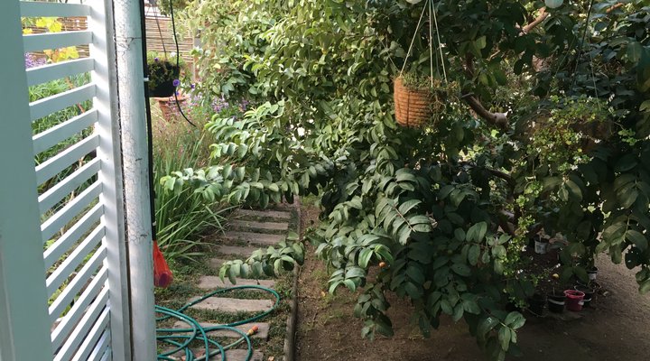 The Garden Cottage