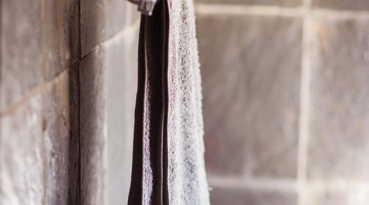 Grey Lourie Guest House