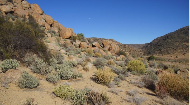 Brandrivier Accommodation