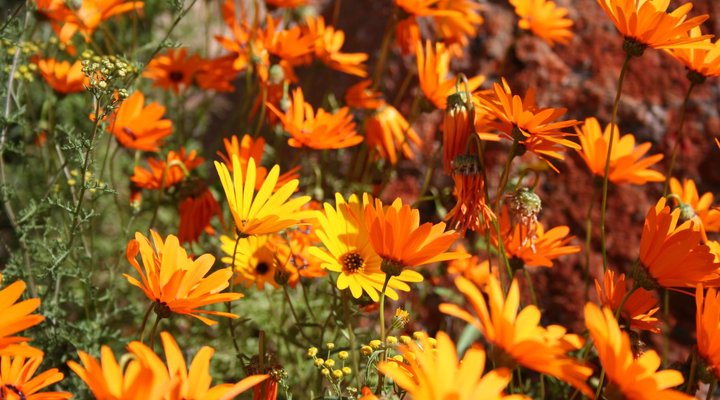 Brandrivier Accommodation