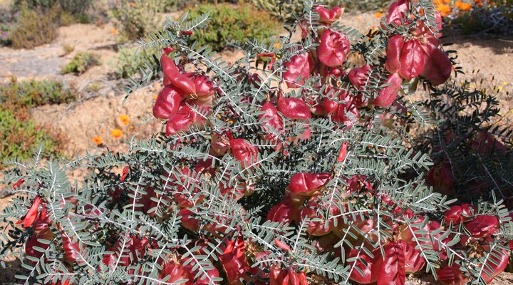 Brandrivier Accommodation