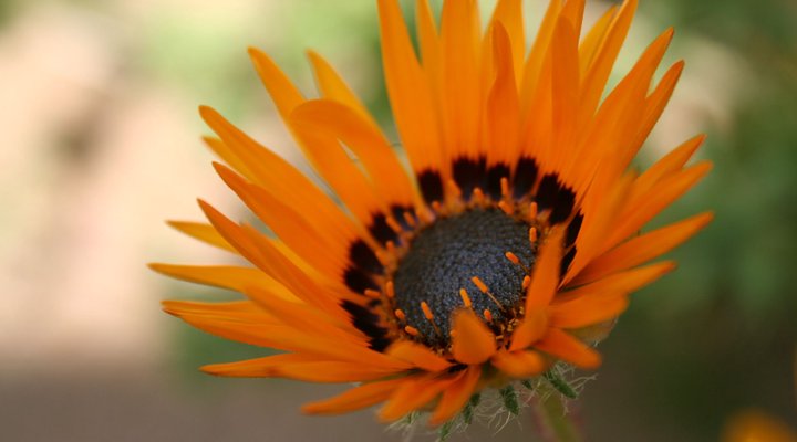 Brandrivier Accommodation