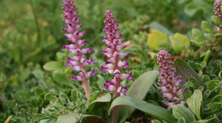 Brandrivier Accommodation