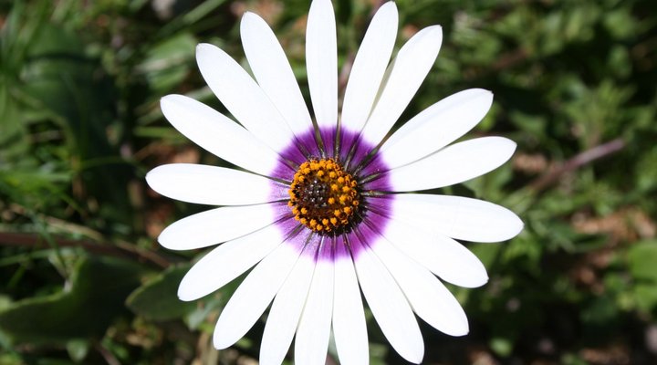 Brandrivier Accommodation