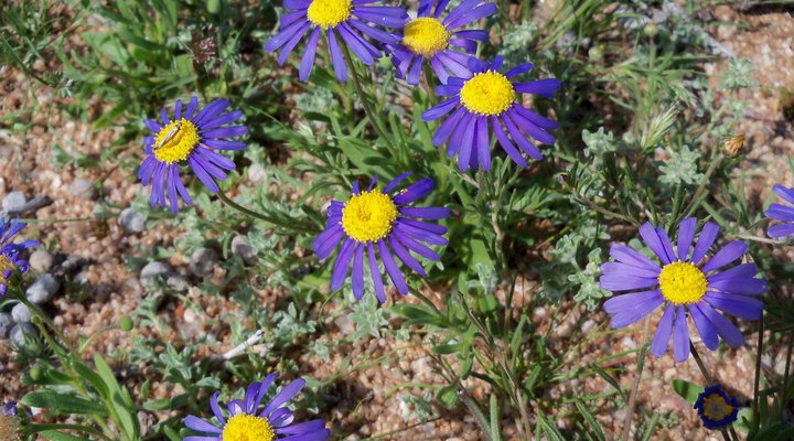 Brandrivier Accommodation