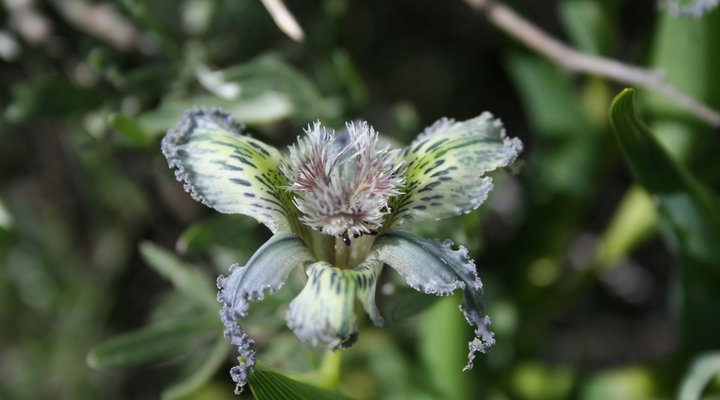 Brandrivier Accommodation