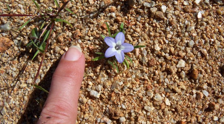 Brandrivier Accommodation