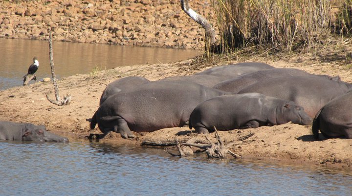 Twiga Lodge Mabalingwe