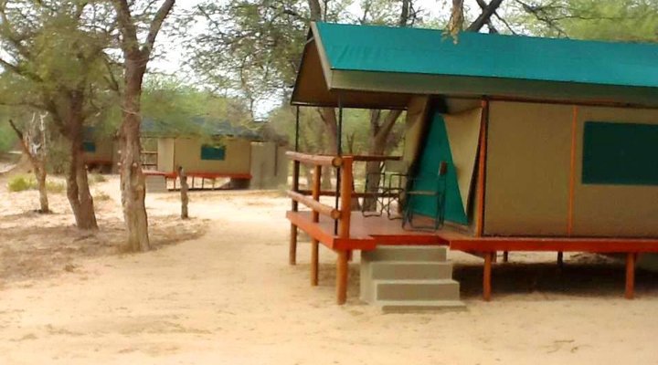 Buffalo Tented Camp