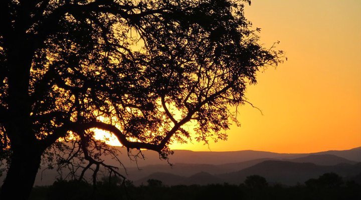 Buffalo Tented Camp