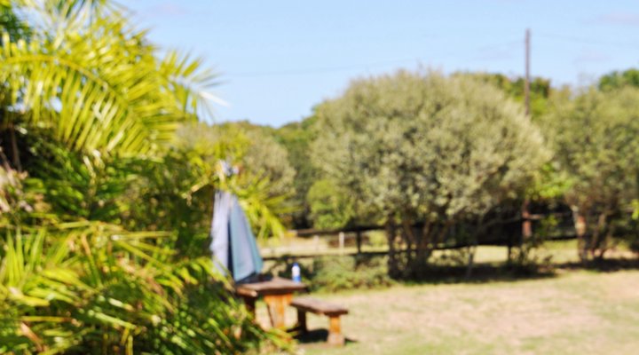 Deer Park Guest House