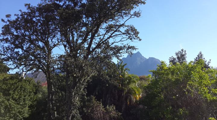 Beautiful Mountain View