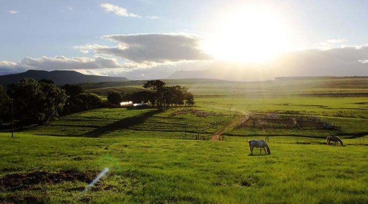Blarney Stone Cottages