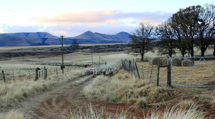 Blarney Stone Cottages