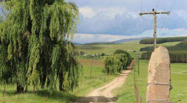 Blarney Stone Cottages