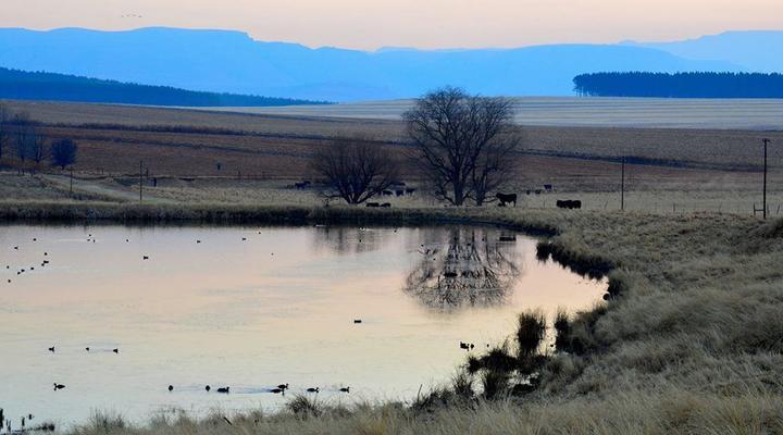 Blarney Stone Cottages
