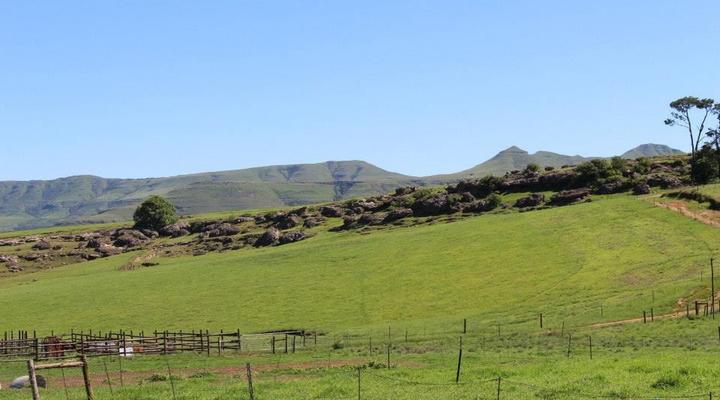 Blarney Stone Cottages