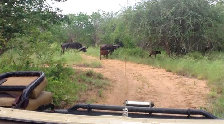 Hardekool Game Lodge