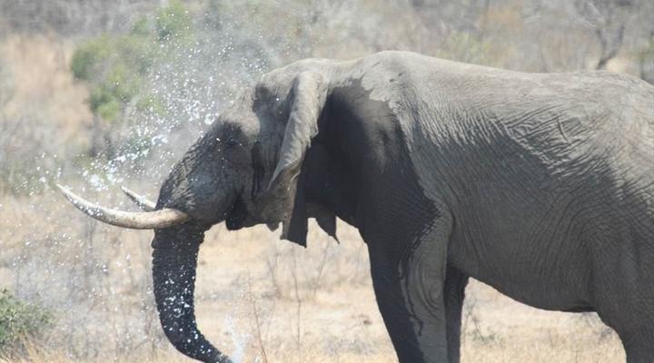 Hardekool Game Lodge