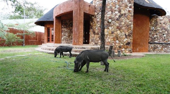 Hornbill Lodge