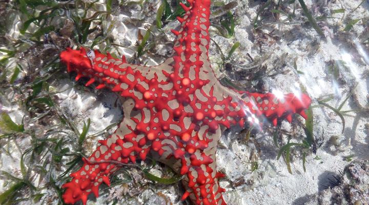 Blue Reef Fishing Lodge