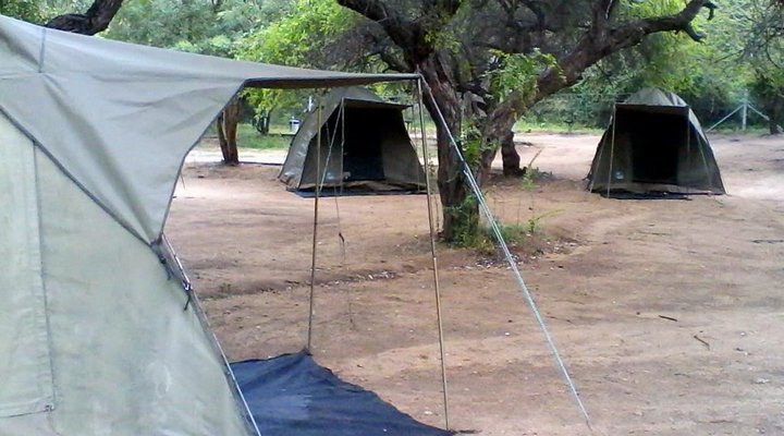 Journey Through Kruger Safari