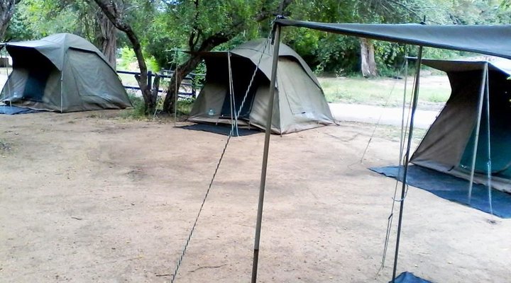 Journey Through Kruger Safari