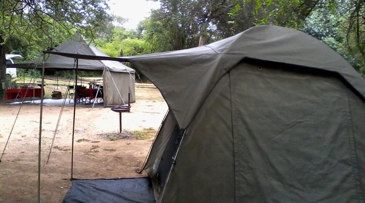 Journey Through Kruger Safari