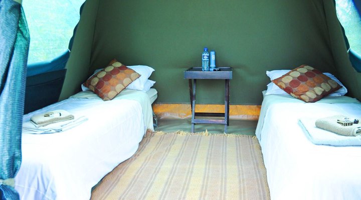 Journey Through Kruger Safari
