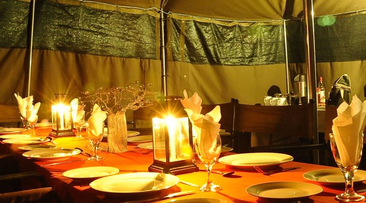 Journey Through Kruger Safari