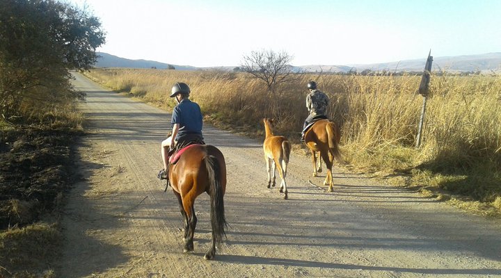Klipfontein Bush Camp