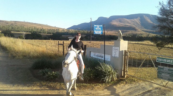 Klipfontein Bush Camp