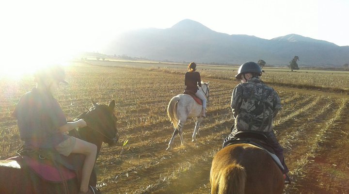 Klipfontein Bush Camp