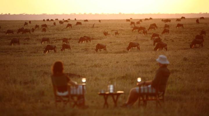 Elephant Pepper Camp