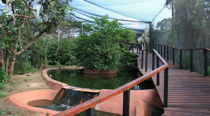 Gooderson DumaZulu Lodge