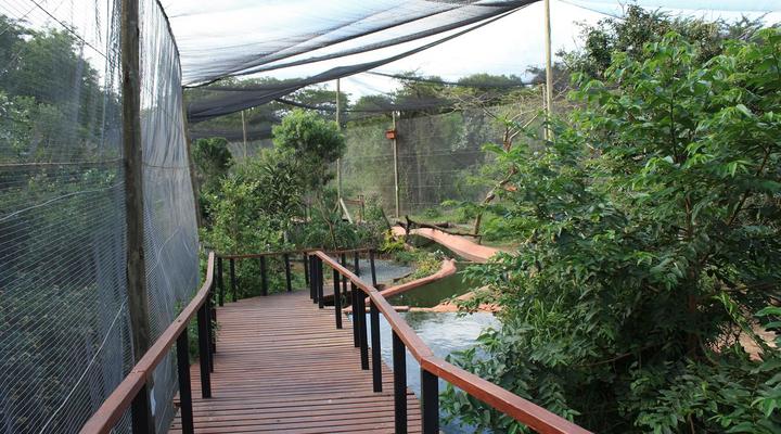 Gooderson DumaZulu Lodge