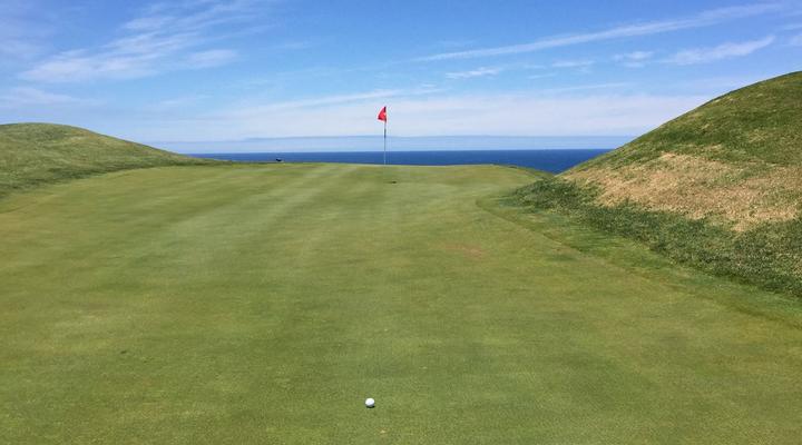 Dolphin Dune - Hersham