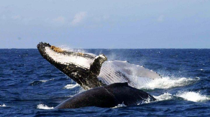 Bed & Breakfast By The Sea