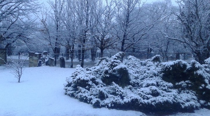 Avante Self-Catering