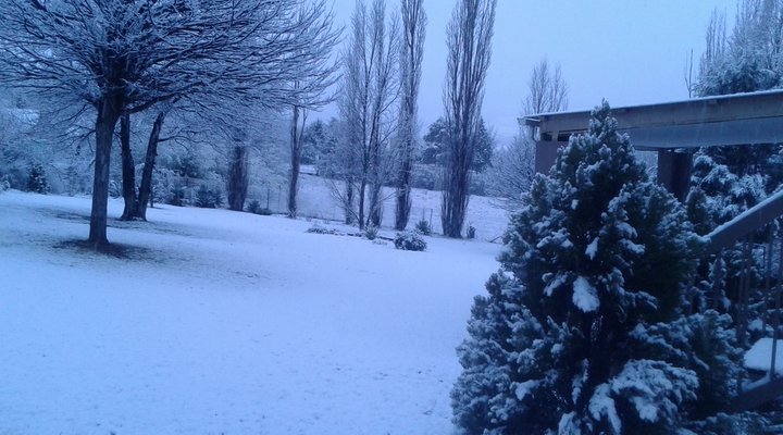 Avante Self-Catering