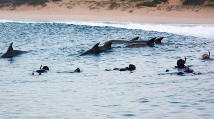 Ponta do Ouro Budget Accommodation