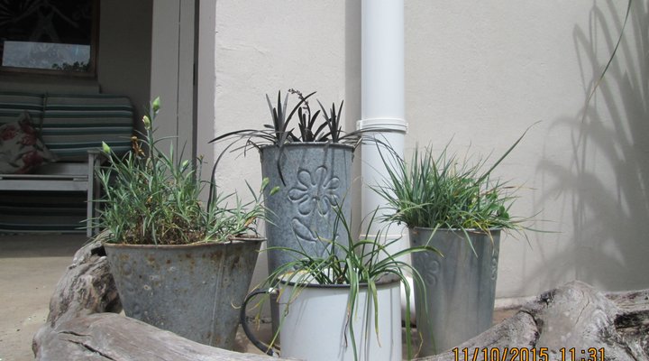 Giggling Gecko Guest House