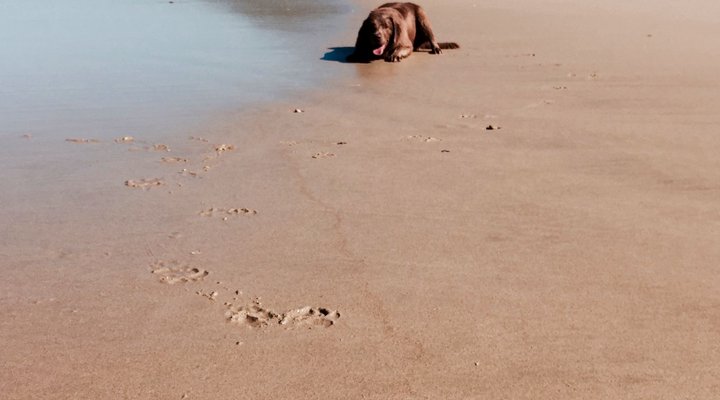 Hammock Island Loft Apartment
