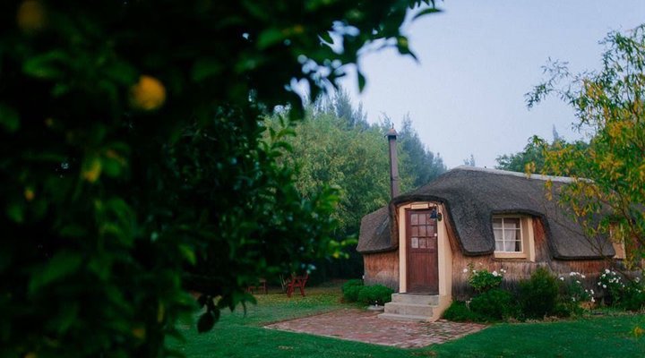 Reed's Country Lodge