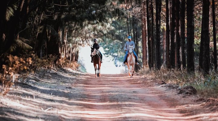 Silver Mist Adventure Lodge