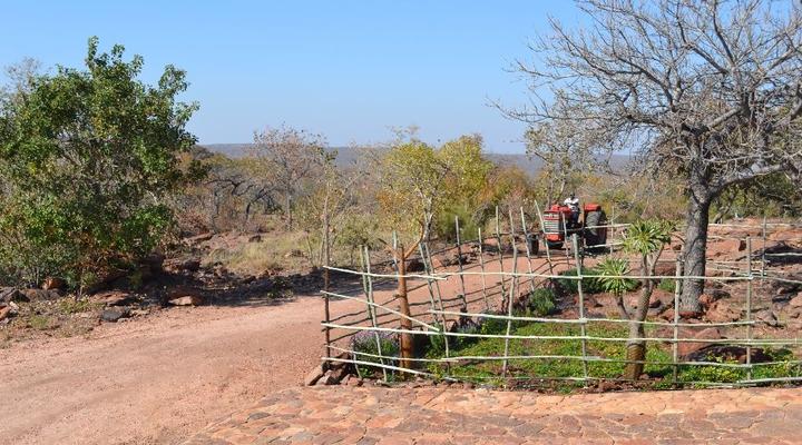 Mountain View Bush Lodge