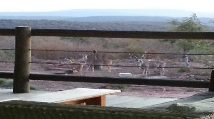 Mountain View Bush Lodge